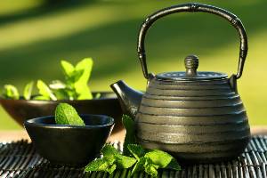 Mantenha a pele bonita e saudável com chá verde