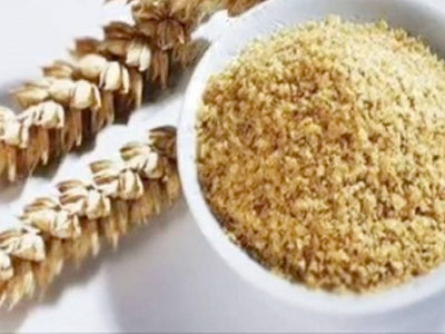 Conheça os benefícios do gérmen de trigo
